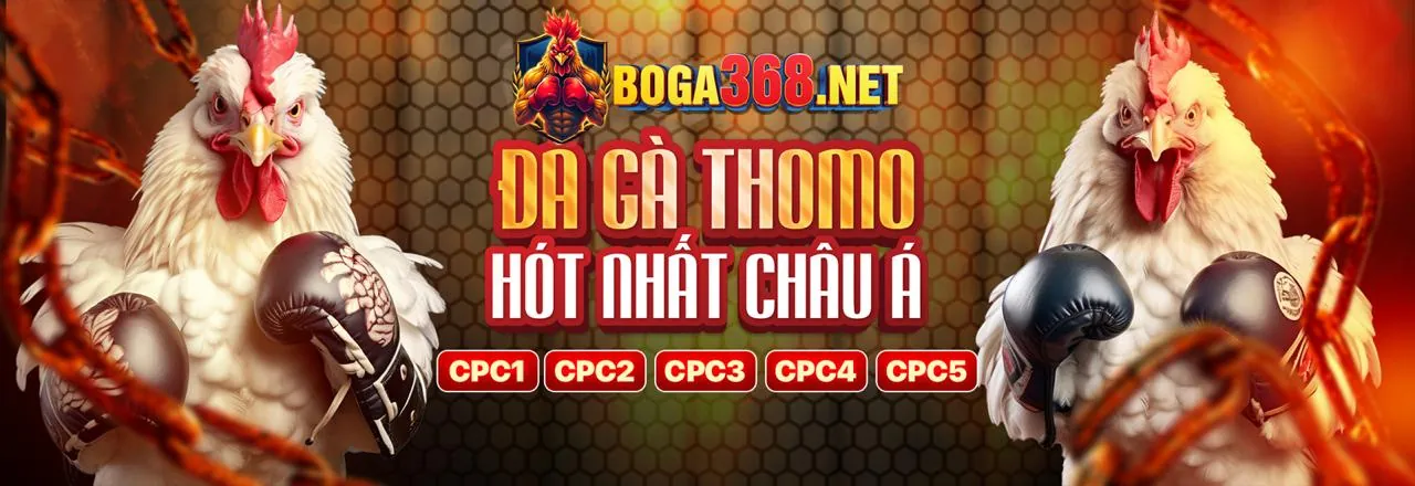 BK8 178 Bắn Cá Đổi Thưởng